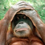 Omg! Facebook comments are down!